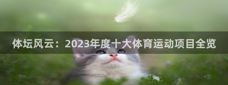 vsport体育官网下载招商:体坛风云:2023年度十大体育