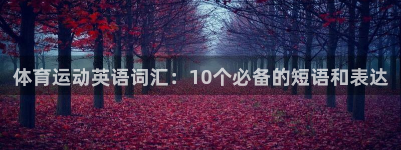 vsport体育官方正版app集团logo:体育运动英语词汇